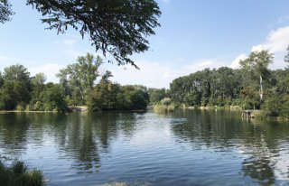 6 special nature spots to escape to in Vienna - Vienna Würstelstand